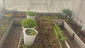 А дома меня ожидал сюрприз.