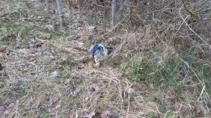 Фея и апрельский свежачок ❣️