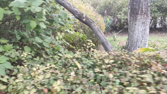 Один из дней города Евпатории  29 сентября 2021 г  Крым ХАН БАТОН XAH 6ATOH  VID_20210929_145926