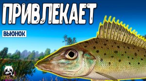 RF4 Простая рыбалка очень привлекает #рр4