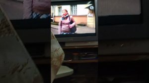 история моей кошки