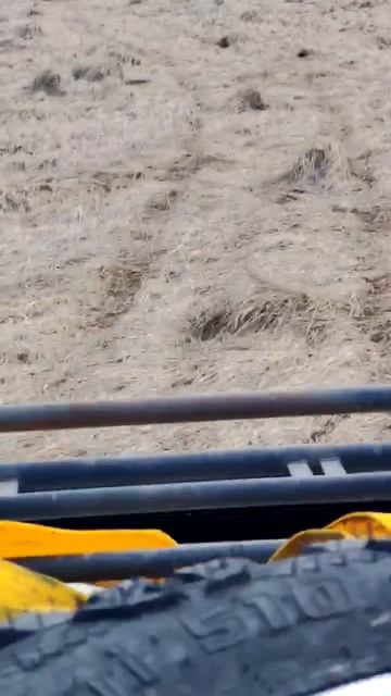 Нашли грязь