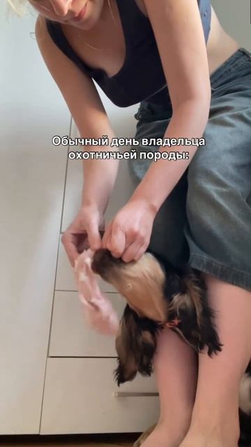 Глаз да глаз за носками 🧐))