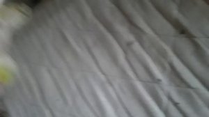 корзина лют новая игар безумно угарно