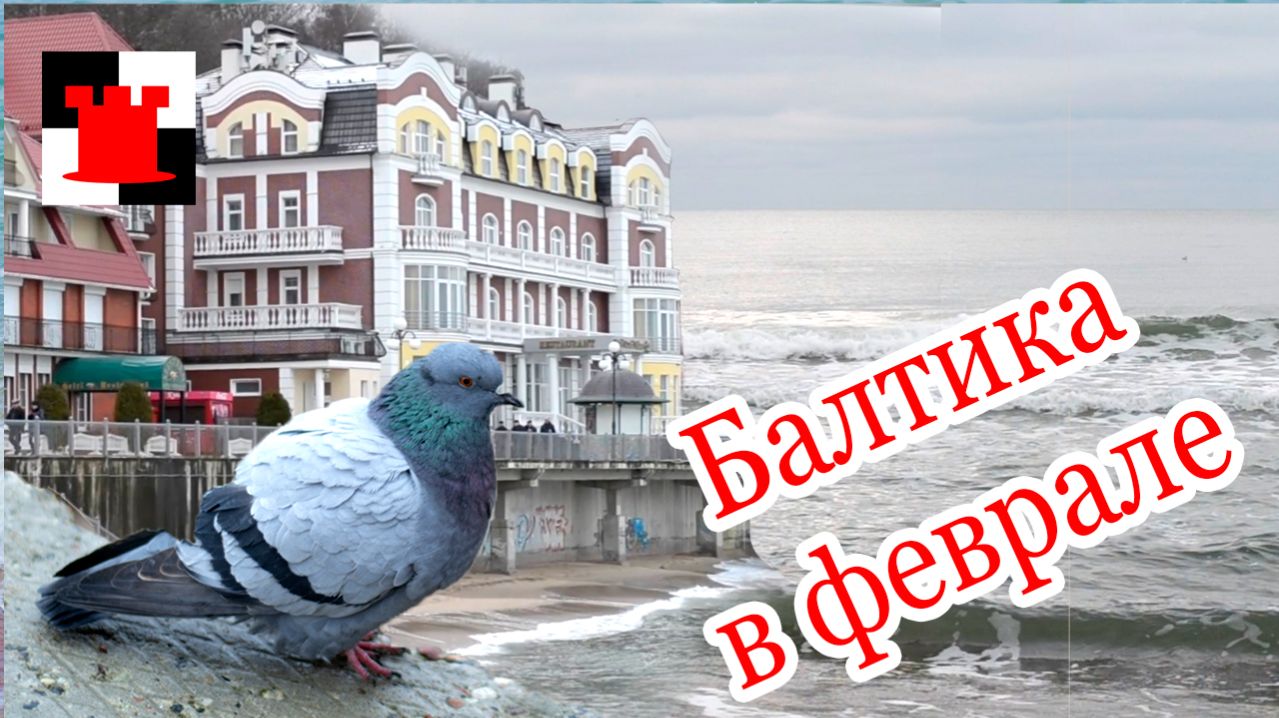 Балтийское море в феврале 2015. Светлогорск. Архивное видео