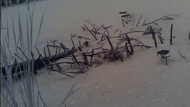 Проба пера_edit