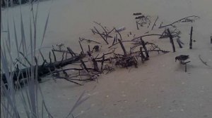 Проба пера_edit