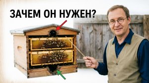 Верхние летки ульев: профессор Кашковский объясняет ключевые моменты