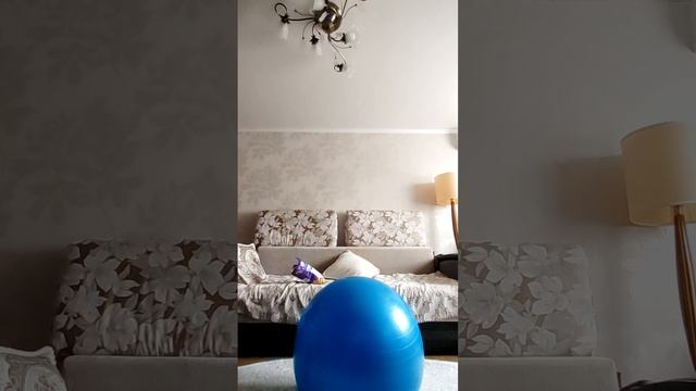 VID_20260419_133753.mp4