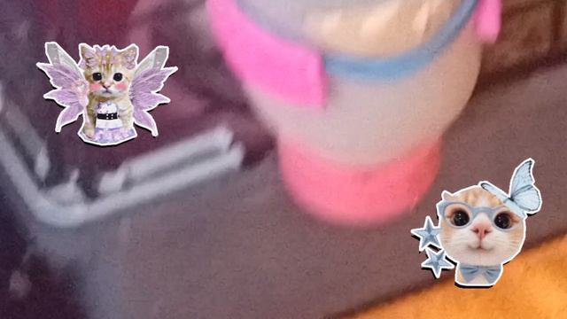 уход за крысой