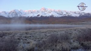 Алтайский дневник