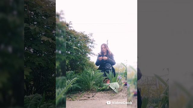 🦋 Впускаю бабочек в пасмурное утро 😉✨)))