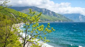 19.04.2026 (Воскресенье)