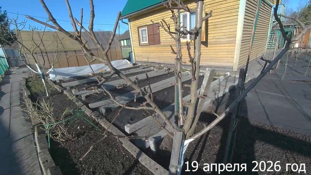 19. 7 соток. Обработка сада. Хроника 19 апреля 2026 год