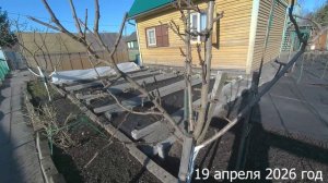 19. 7 соток. Обработка сада. Хроника 19 апреля 2026 год