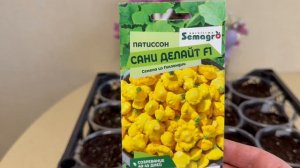 Кабачки,Огурцы,Арбузы 🥒🍉2026,мой выбор 👍👍👍