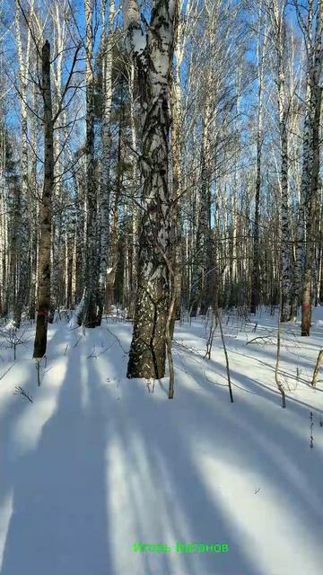 Чистые отношения