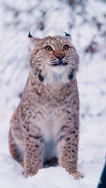 Красота природы и немного интересных моментов 😉😊🥹☺️🌞🕵️🧐🫣☀️✨🌟💫⚜️👑😺🤫🙀🌞🥹🌞🌞