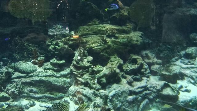 По пути на танцы.18.04.26