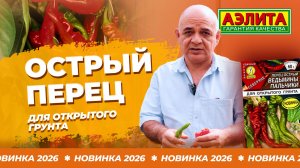 Неприхотливый ОСТРЫЙ ПЕРЕЦ для ОТКРЫТОГО ГРУНТА! Новинка 2026