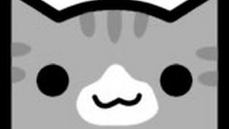 канал котик