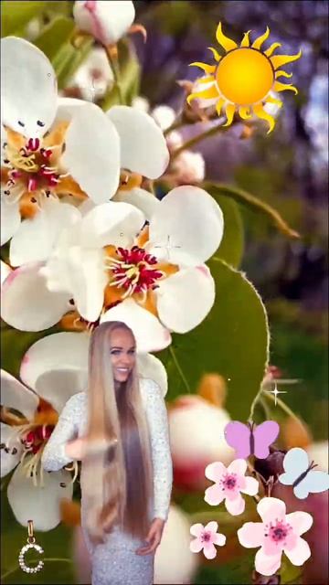 Доброе утро! Хорошего дня!