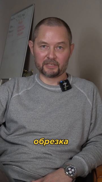 Почему Дрим Благо наше направление по вывозу мусора и благоустройству так стремительно набирает?