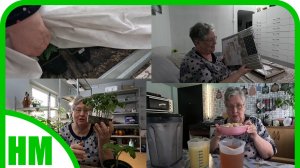 19 апреля. Пришла зима, а как наши перцы? Новая настойка. Покупки в спальню. Рассада прекрасна.