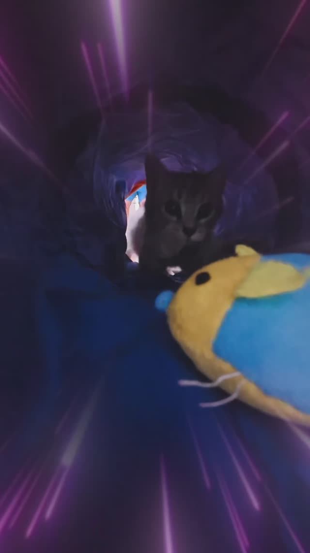 Сергей и Алиса | История двух сердец | Мисти | Прыжок в туннель