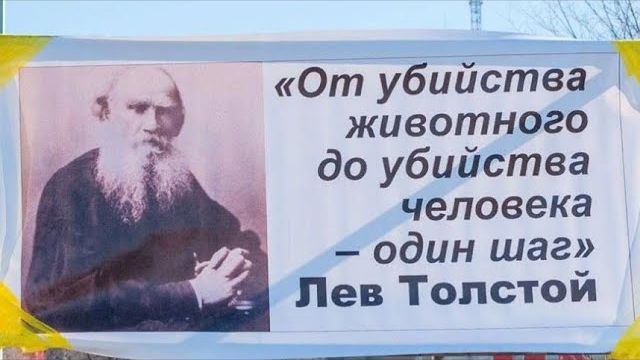 СЛОВ НЕТ УЖЕ...эфир от 19 апреля 2026 года...