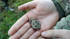 Коп по войне. Гельмут Вайссвальд. Фильм 498.