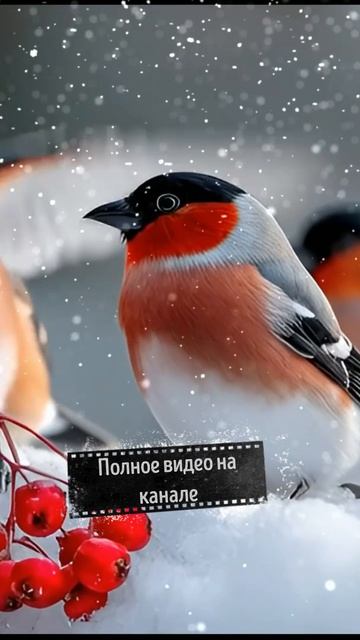 Душевный Романс о трагической истории любви (Премьера клипа 2026)