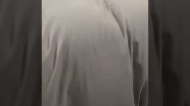 Комплект постельного белья Однотонный Сатин «Солнечный лен»