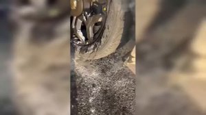 В Ульяновске сотрудники Росгвардии оказали помощь в тушении автомобиля
