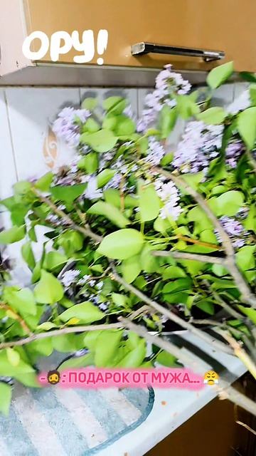 😆😆😆😆😆😆😆