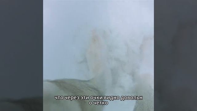 Предательство на необитаемом острове