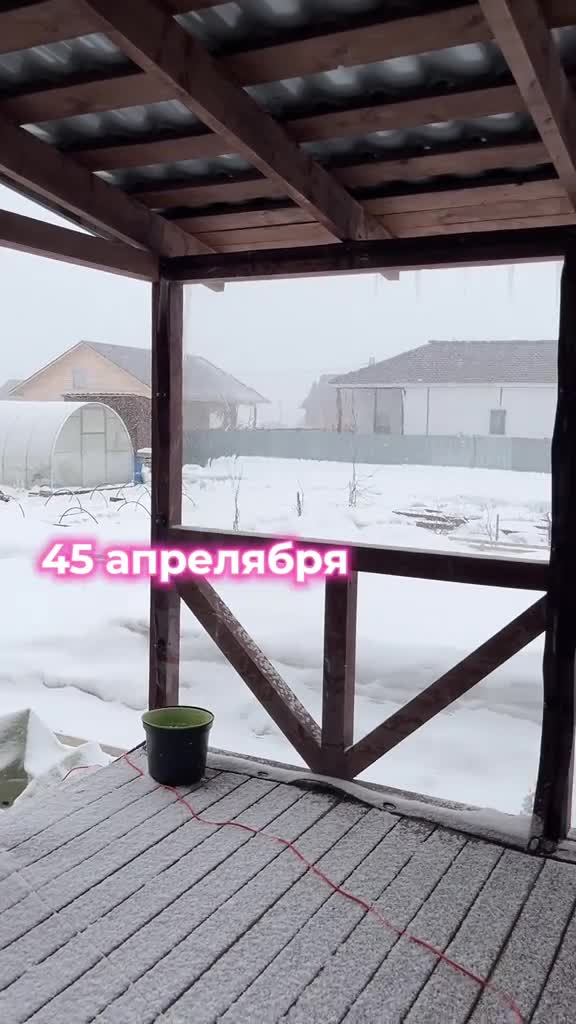 Шел 256 день зимы..