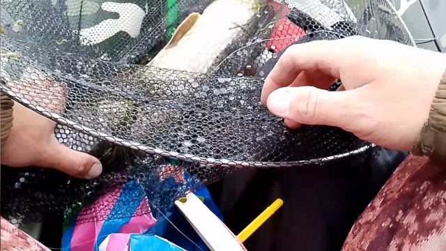 Сегодня порыбачил на кружки🎣 Живец карась. Погода ветреняя, вечерний клев. Сработок мало.