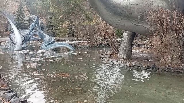 1000016858.mp4 Начало прогулки в Новосибирском зоопарке