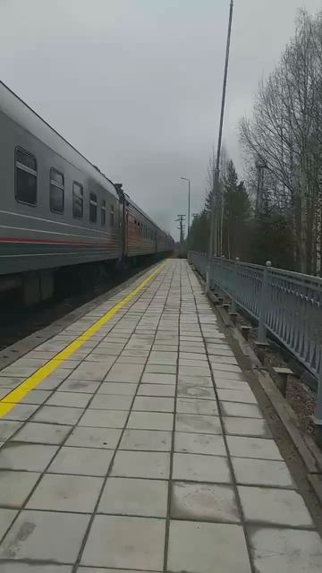 отправка поезда Костомукша Петрозаводск Костомукша Санкт-Петербург