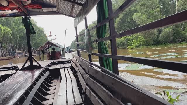 Куда Ты Едешь (Wyg) s1e17 - Выпуск о птичках