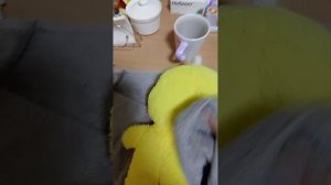 ночной влог😘