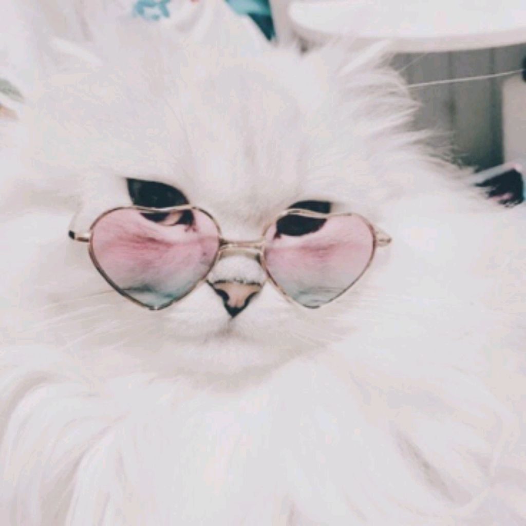 гуляю на улице чеееееек