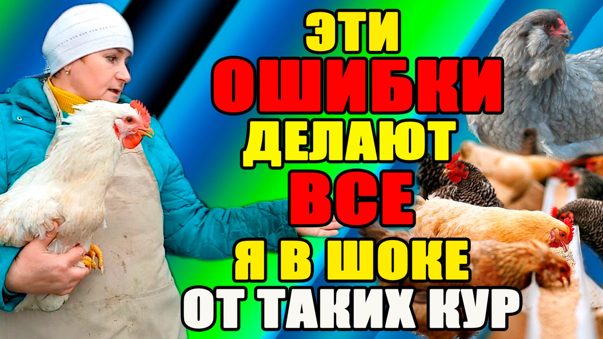 Эти ОШИБКИ делают ВСЕ. Шок от покупки кур.