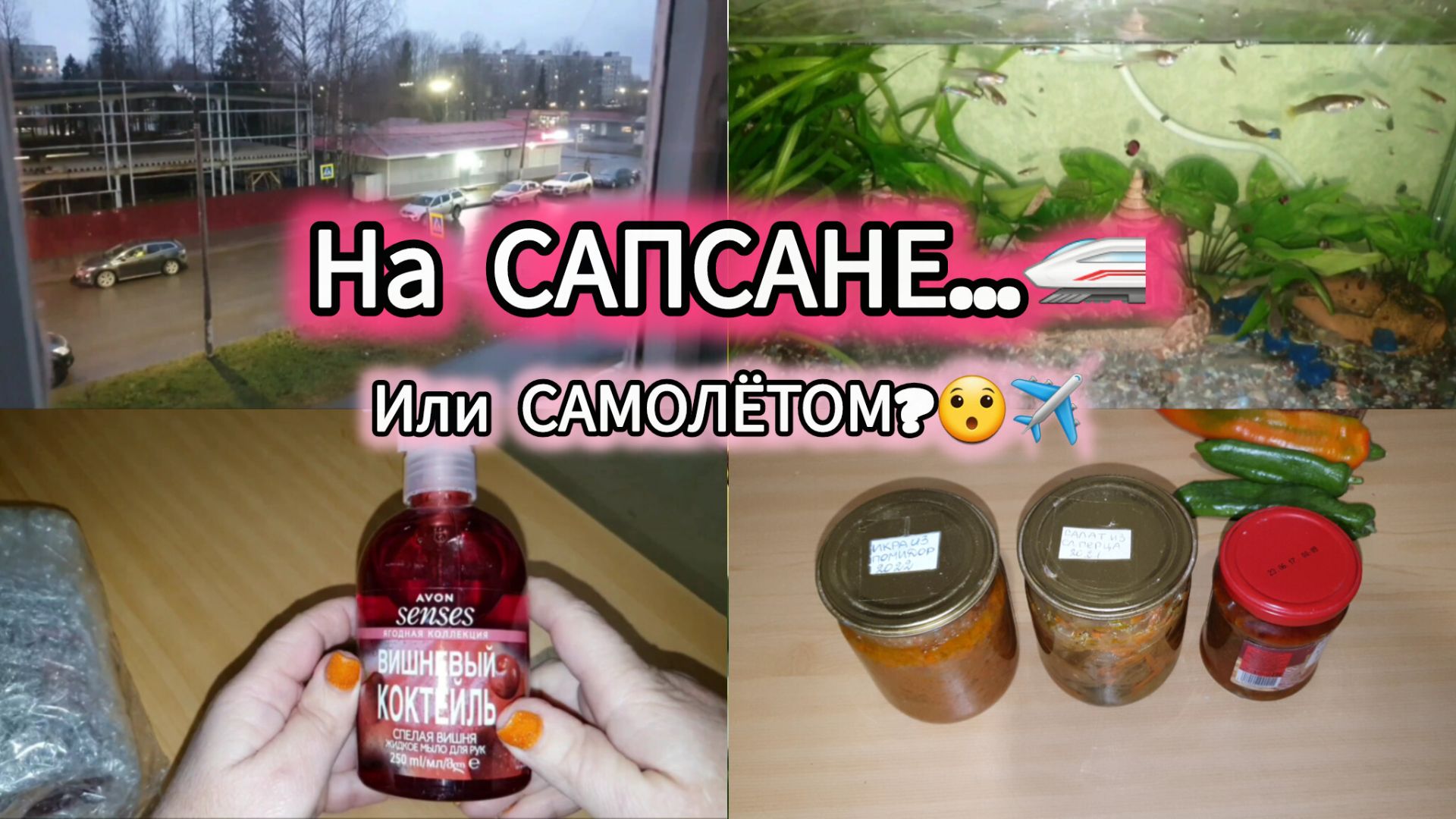 9.11.2024 Я НАШЛА ЕГО...он пахнет как вишнёвый пирог!☺️ Я тоже ХОЧУ!🤨