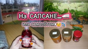 9.11.2024 Я НАШЛА ЕГО...он пахнет как вишнёвый пирог!☺️ Я тоже ХОЧУ!🤨