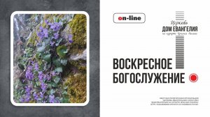 19.04.2026 | Воскресная литургия в церкви "Дом Евангелия на курорте Красная Поляна"