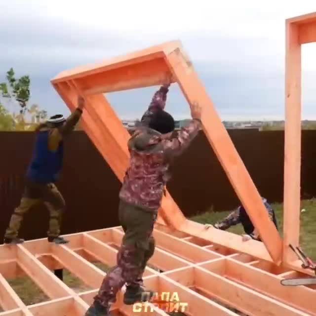 #животные #Милые #видео