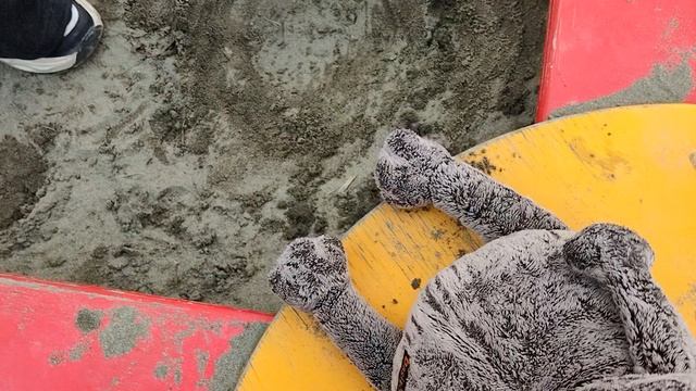 ПРОГУЛКА С БАСИКОМ? /★БАСИКИ ЛУЧШЕЕ★