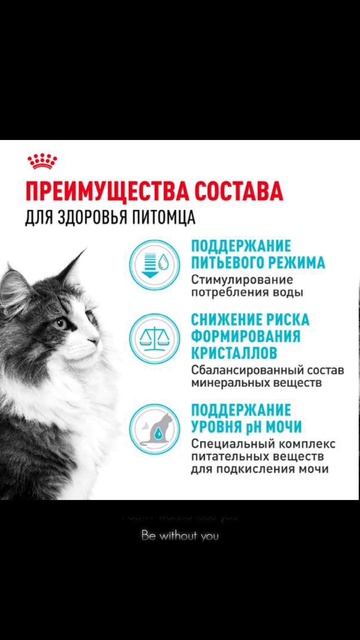 Рекламный ролик